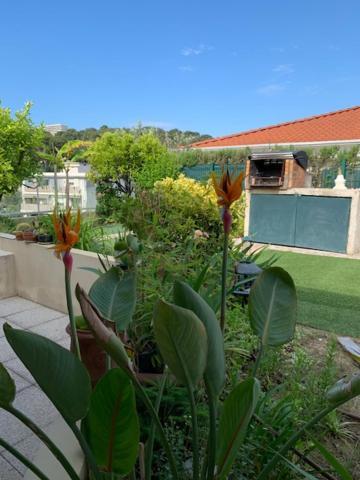 Jardin D'Azur Proche Mer Cagnes-sur-Mer Bagian luar foto